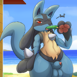 kuroodod:  —— You and your Lucario head