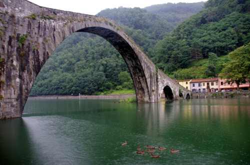 allthingseurope: Borgo a Mozzano, Italy (by Genox51)