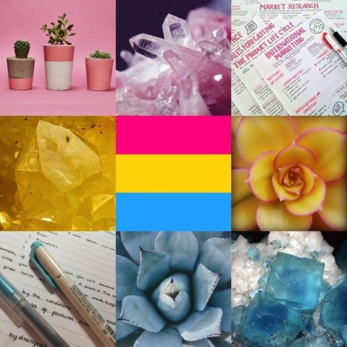 lgbt-mood - pansexual moodboard with succulent, handwriting, and...