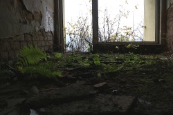 urban-tombraider:Those rooms are not to be booked anymore, they are inhabited by moss and ferns and other green beauties.Abandoned hotel, Germany, November 2014.