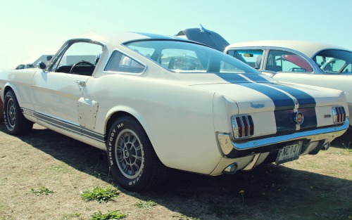 francescolt:   G.T.  350