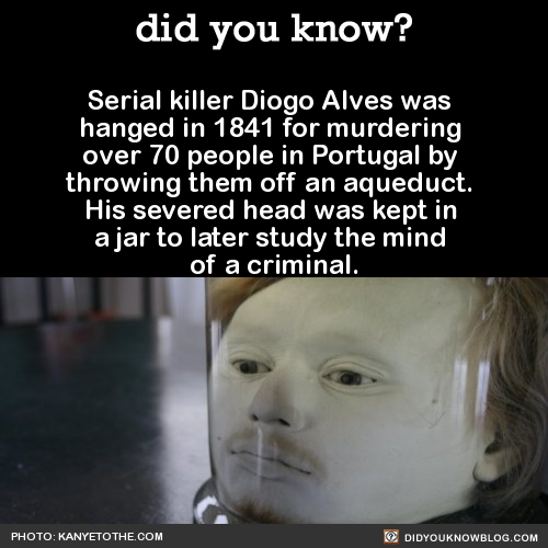 did-you-kno: Apparently, they never got around to studying it. So his head just sits on a shelf at t