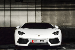 automotivated:  An Aventador. (by Manuel Magaña)