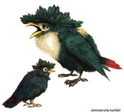 ommanyte:  The Corvid Pokémon Murkrow and