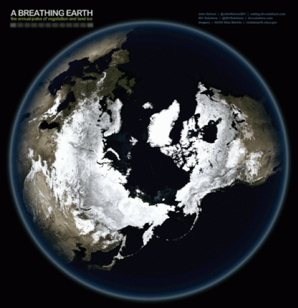 Animated GIFs show the Earth ‘breathing’
The planet’s seasonal ebb and flow of ice and life is captured in mesmerizing detail by these animated GIFs, which display a year’s worth of NASA satellite imagery.