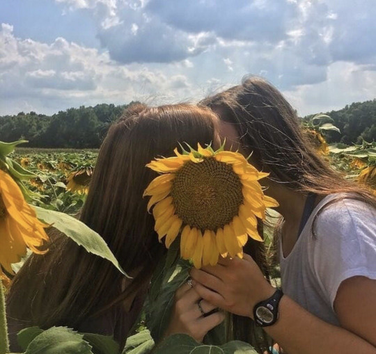 godhatesmedie: 🌻 