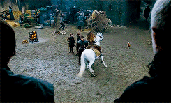 petyrbaelishs:My Aunt Lyanna. I’ve seen her statue in the crypts. My father never talked about her.