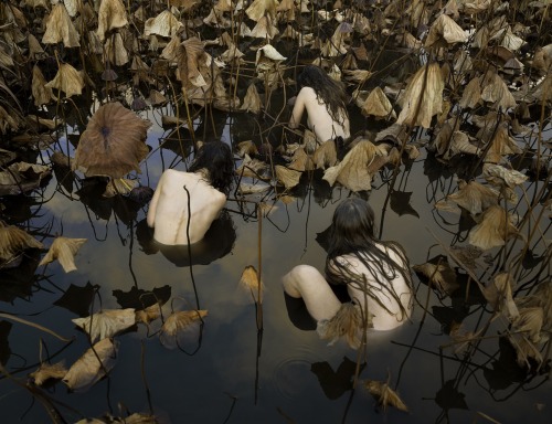 requiem-on-water:by Tamara Dean