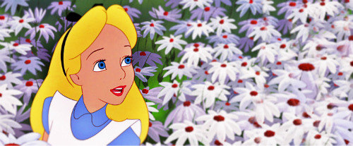 waltdisneyworldoficons:  Alice in wonderland headers Request by Anonymous  