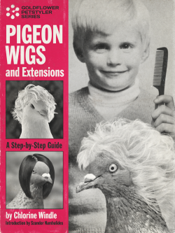 liartownusa:  Pigeon Wigs and Extensions by Chlorine Windle 