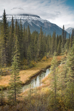 greaterland:  Banff National Park 