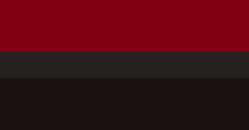 malfunctionrecolours:vampire themed flags for anonlesbian | gaybi | transgenderfluid | nbpan | ace