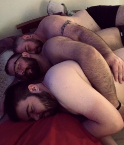 kabutocub:  Daddy, Cub and Pup all cuddled