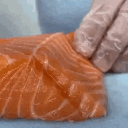 Salmon Run Stimboard