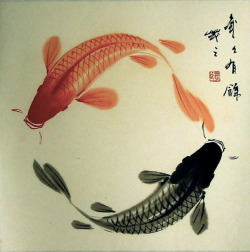 elementk2:  Koi Fish. Symbol Of Courage,