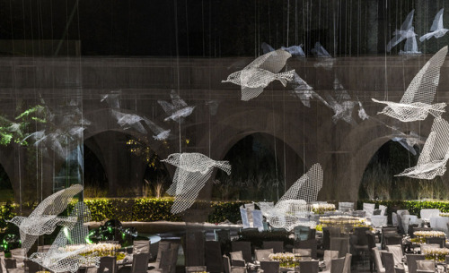thedesigndome: Stunning Wire Mesh Sculptures by Edoardo Tresoldi Edoardo Tresoldi, an Italy-based ar