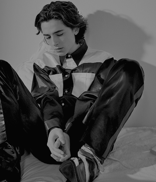 timothee chalamet for v man magazine, 2018