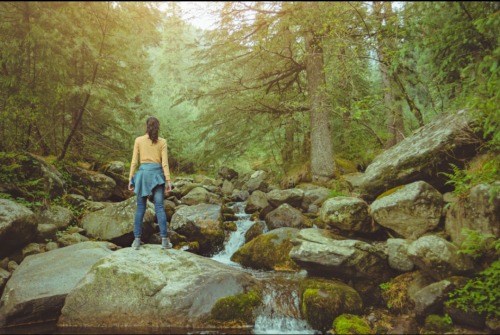 And Into The Forest I Go To Lose My Mind & Find My Soul.