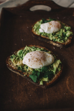 jakfruit:  Avocado toast with cilantro and green onions and oh my god I cannot believe I successfully poached an egg.