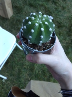 punkflcwer:  my cousin gave away cactuses