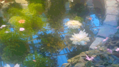The Pond;