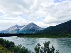 drae-annx:  Denali National Park, Alaska