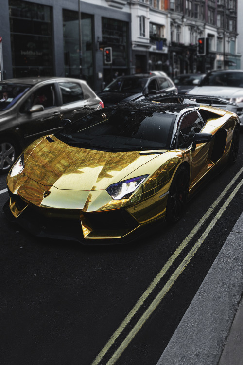 envyavenue:Dipped in Gold