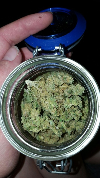 dabakin-cloudblower:  Got some Lemon Haze 😍