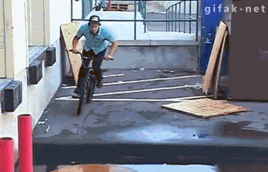 needmoregif:  Need more GIF