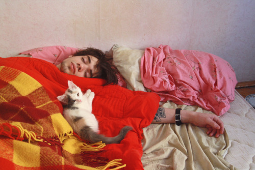 rcah:  Young Kitty by Natalia Budantseva