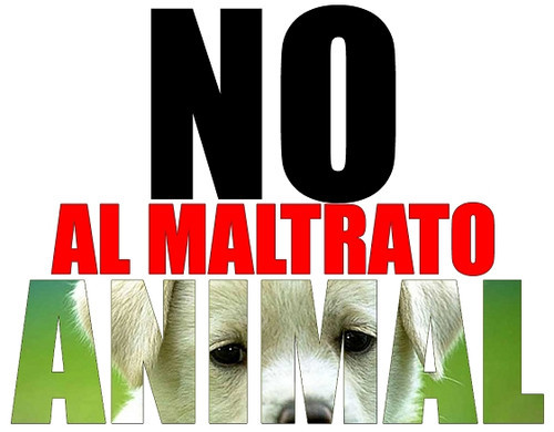 att-tu-conciencia:  faabianett:  DI BASTA! NO MAS MALTRATO ANIMAL!   STOP!!