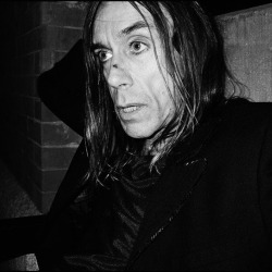 icky-pop:  Iggy Pop