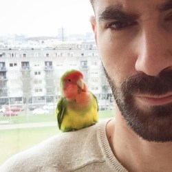 beardburnme:  “This is my new best motherfucker friend bird. #paulie #haciendoamigos #vivirviajando #amiquenomelocuenten #amigosporelmundo” by @jose_sospedra on Instagram http://ift.tt/1OKZ9vJ