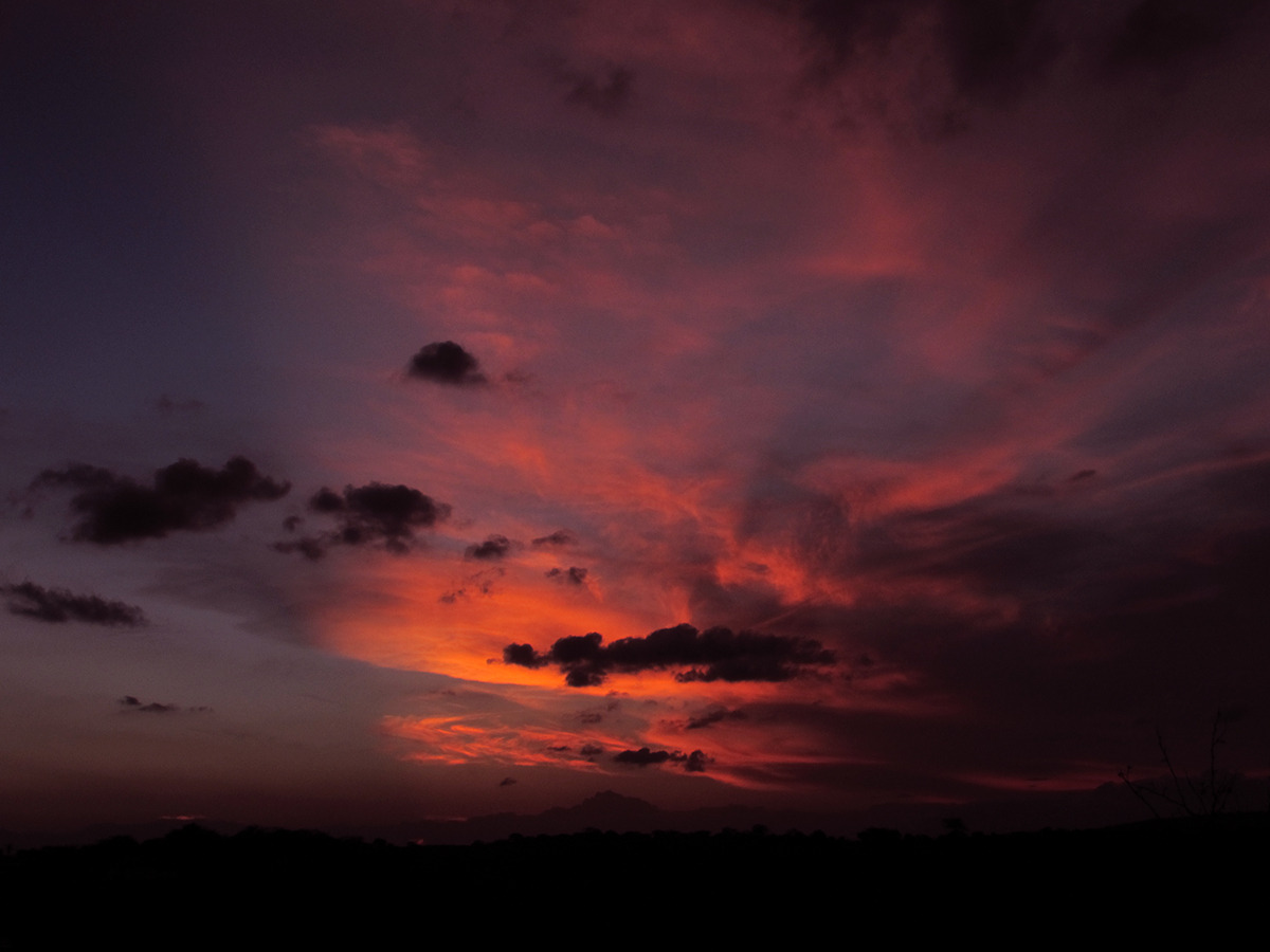 zarb: Sunset by Thiago Braz 