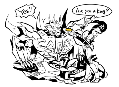 rikuta:  Knockout selfie with prime member series 22!!KNOCKOUT & PREDAKING.  This series is last at the next time!!!!!