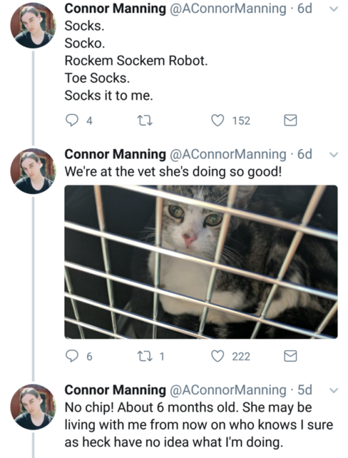 falling-towards-the-skyy: naamahdarling:  aconnormanning: so i have a cat now I am such a sucker for a good love story!   @ellie-in-wonderland  