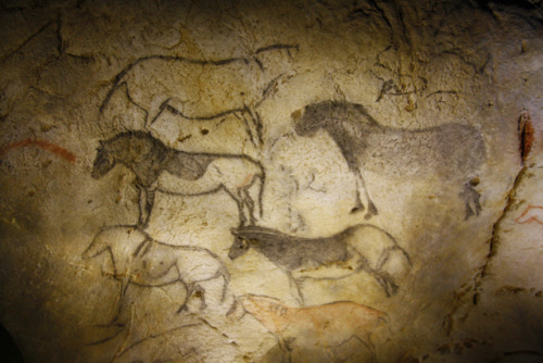 beautiful-basque-country:Wild horses and bisons painted in Paleolithic times on the walls of Ekain c