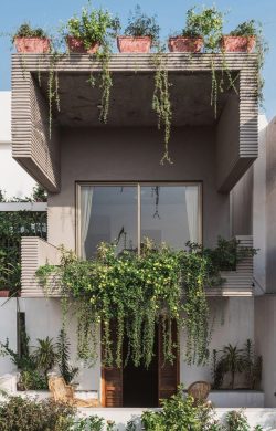 soleilglow:  Jungalow House by Neogenesis Studio0261 // Surat, Gujarat, India