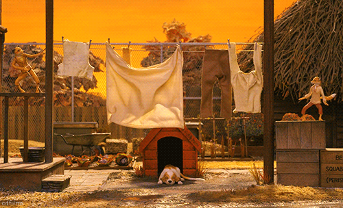 otfilms:      Fantastic Mr. Fox (2009)   