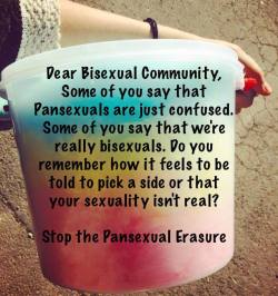 haveagaydayorg:  Dear Bisexual Community,