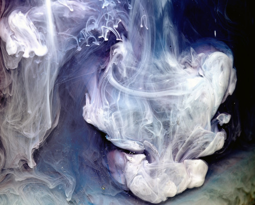artchipel:  Cliff Briggie (USA) Cliff Briggie makes gorgeous and colorful macro shots by opening heart and mind to their naturally wakeful state - a vivid, raw, intimate experience - like licking honey from a razor blade and not backing away. Choice of