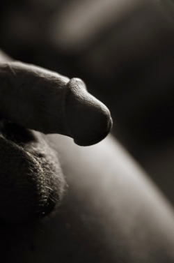 mydaddyishairy:   My Daddy is Hairy - over 44,000 followers:
