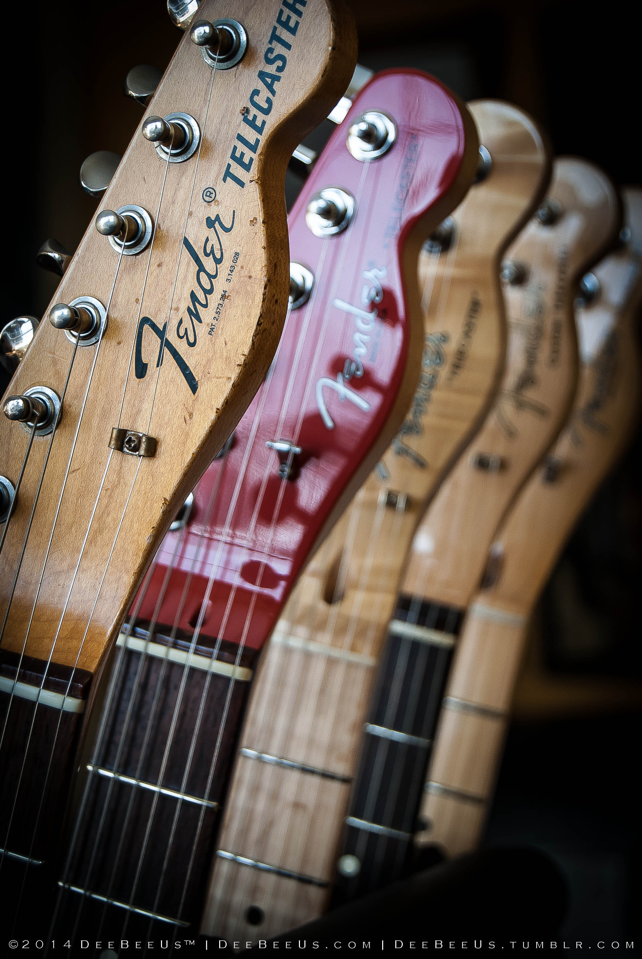 deebeeus:  The only thing I want for Valentine’s Day is a bouquet of Telecasters.