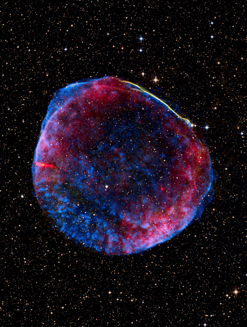 astronomicalwonders:  The Guest Star - Super Nova Remnant SN 1006 This beautiful structure is the result of a violent explosion that happened thousands of years ago. This remnant is located 7,200 light-years away in the constellation Lupus. In the year