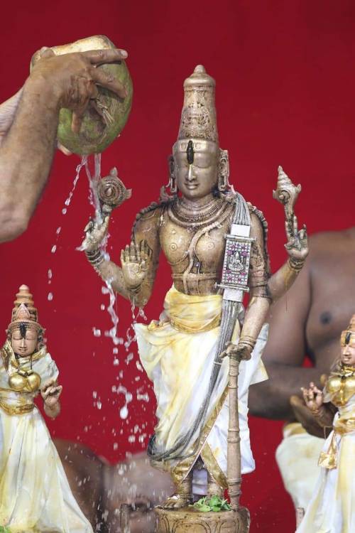 Vishnu abishekam (holy bath) Tiruchanur Float Festival  - Sri Sundararaja Perumal Tirumanjanam Dhivy
