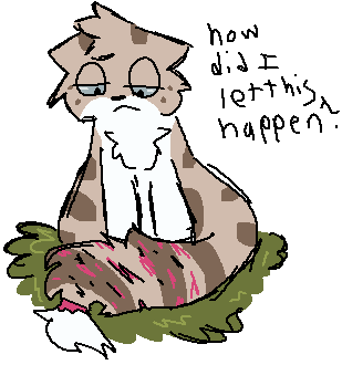Brown Paw, looking at her tail, thinking, "how did i let this happen?