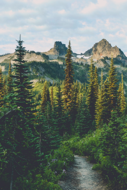 expressions-of-nature:  Wonderland Trail, Mount Rainier, Washington by Pedalhead’71