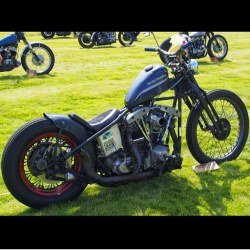 socalchops:  #harleydavidson #shovelhead