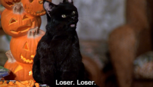 saved by the teenage witch