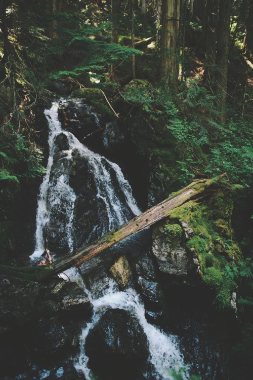 jaymegordon:  Happy Creek Falls ➾ Jayme Gordon 